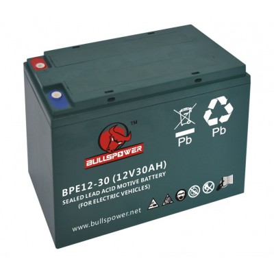 6-DZM-30 12V/24V/48V 30Ah electric bike battery price,small electric motors with battery